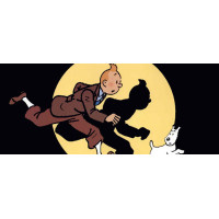 Tintins Äventyr