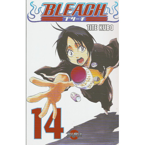 Bleach 14