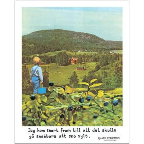 Affisch - Jan Stenmark 'Blåbär' (85006)
