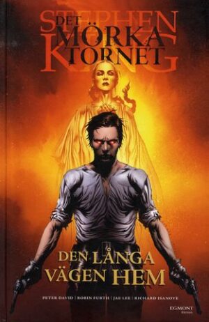 stephen king det mörka tornet den långa vägen hem (inb)
