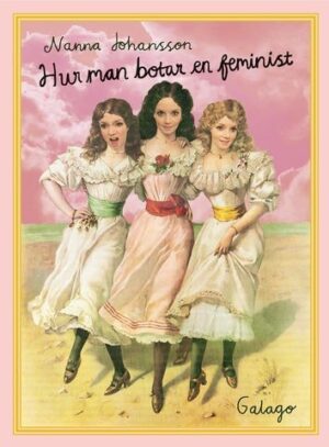 hur man botar en feminist (nanna johansson)